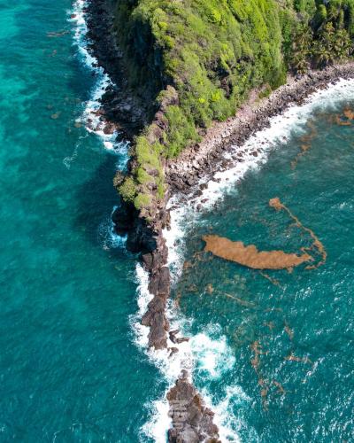 Brighton Salt Pond, St. Vincent & The Grenadines